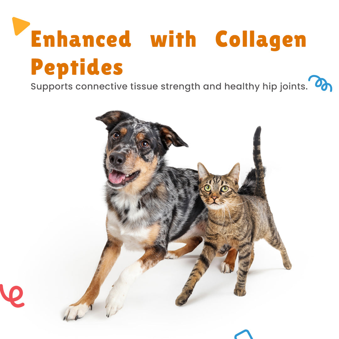 Domicart Drops and Domicart-HP Drops with collagen