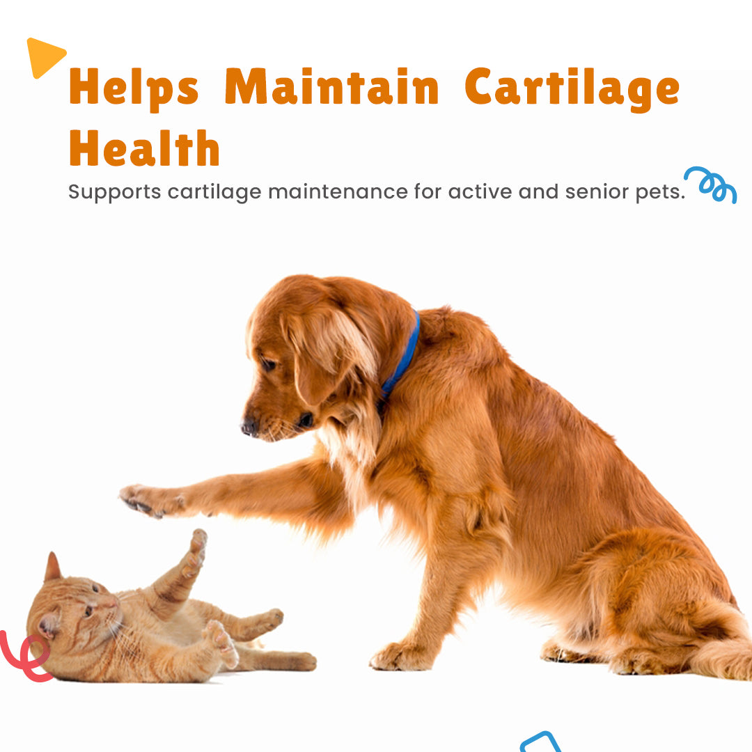 Domicart Drops and Domicart-HP Drops supportive for senior dogs