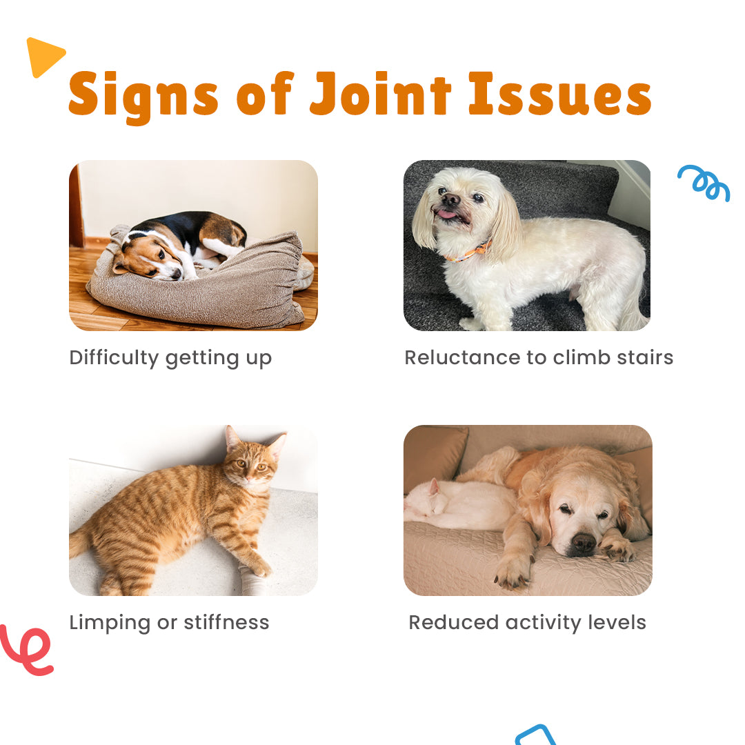 Signs to take Domicart Drops and Domicart-HP Drops