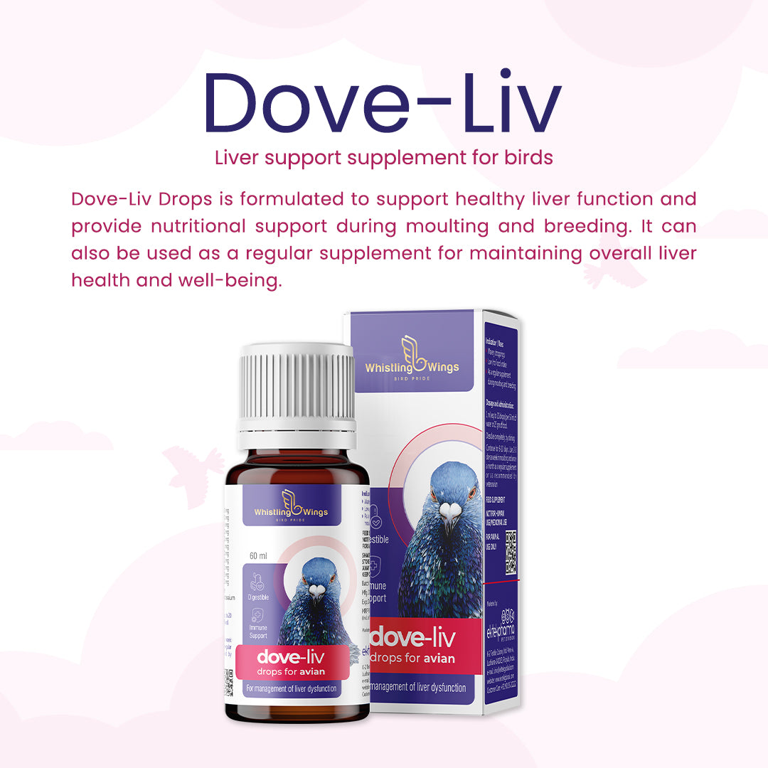Dove-Liv Drops for Avian 60ml – Nutritional Support for Birds