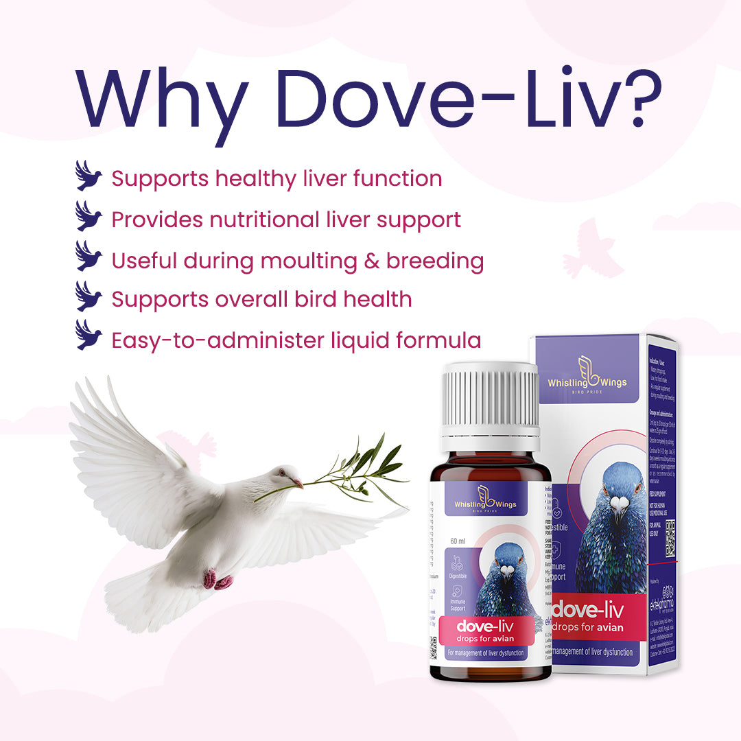 Dove-Liv Drops for Avian 60ml – Nutritional Support for Birds