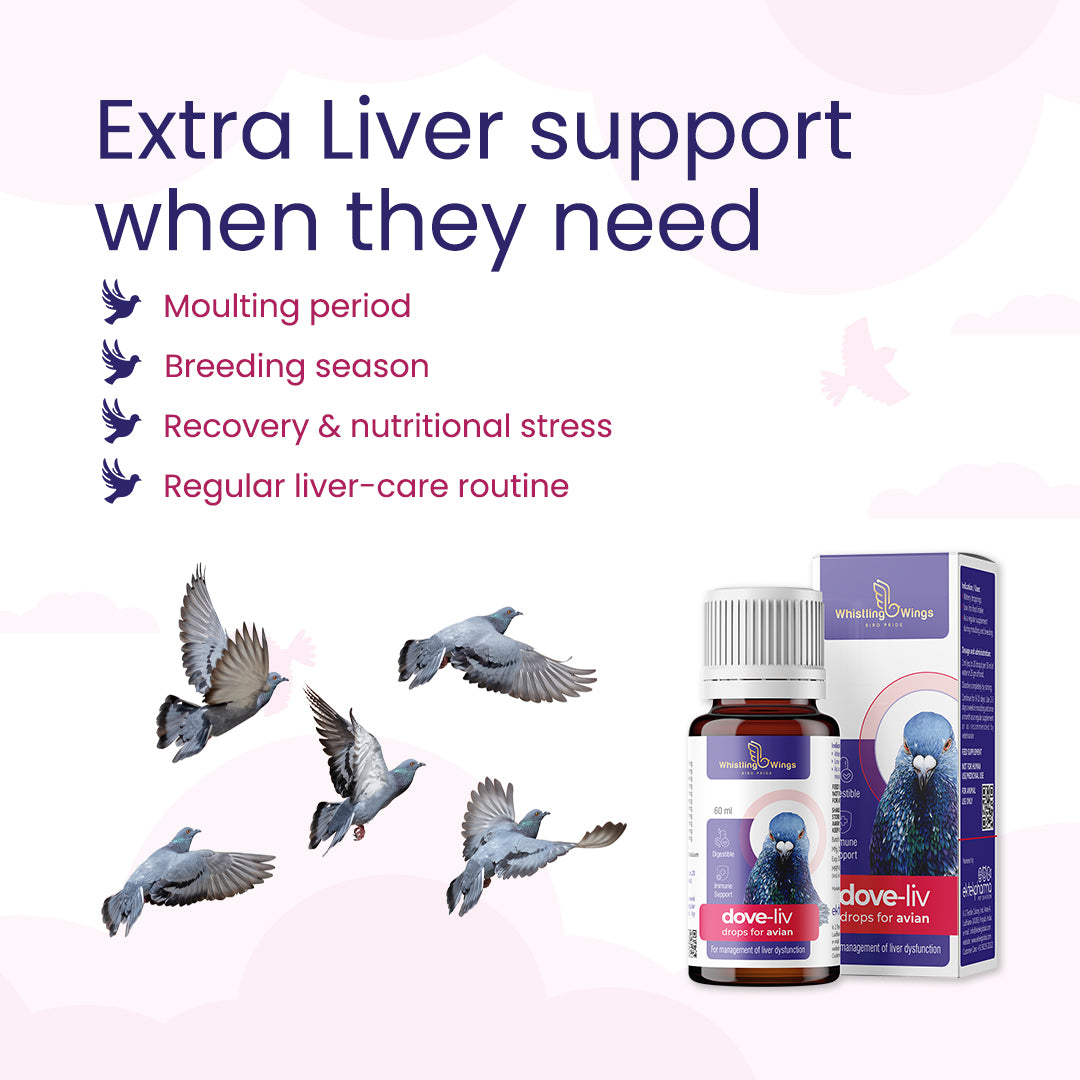 Dove-Liv Drops for Avian 60ml – Nutritional Support for Birds