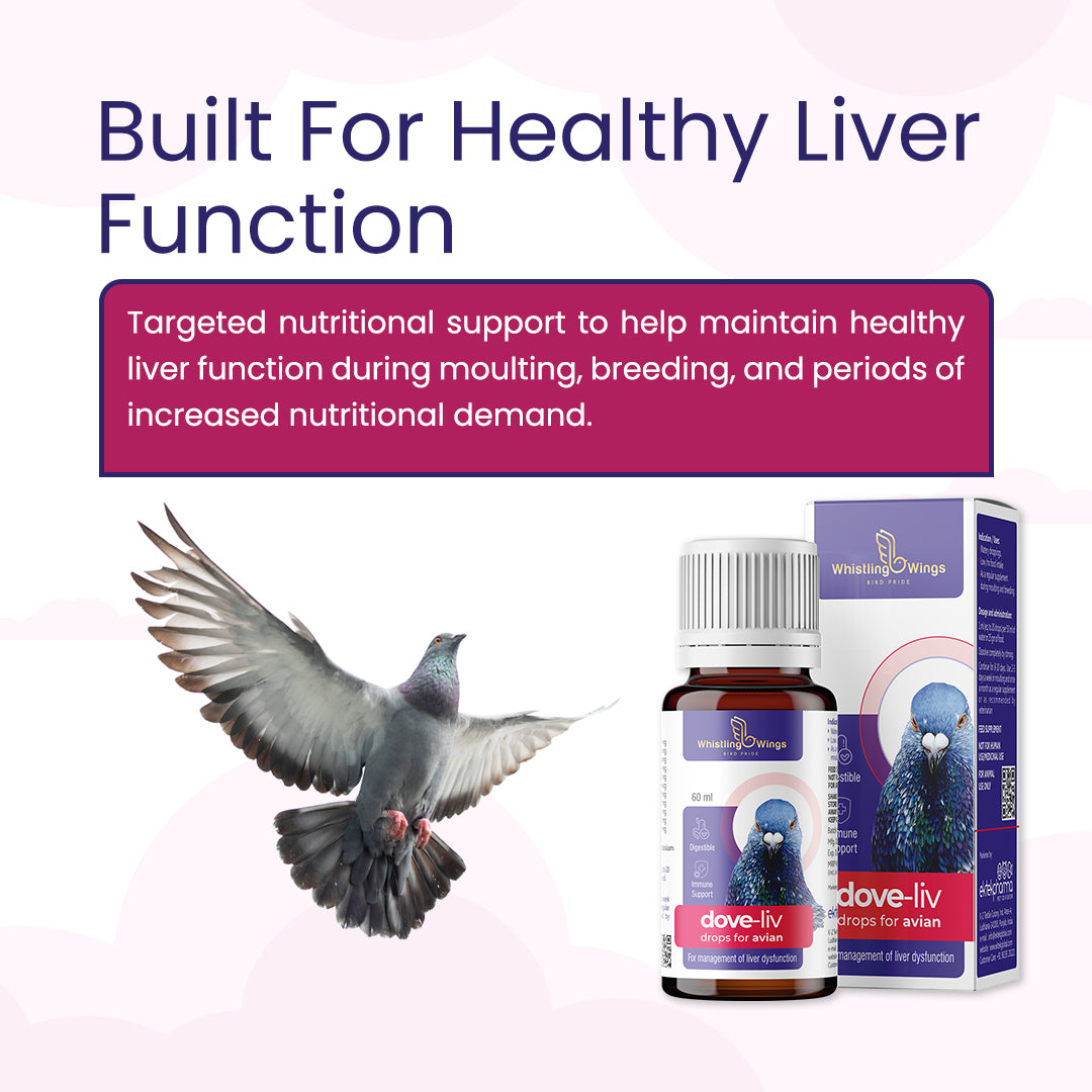 Dove-Liv Drops for Avian 60ml – Nutritional Support for Birds