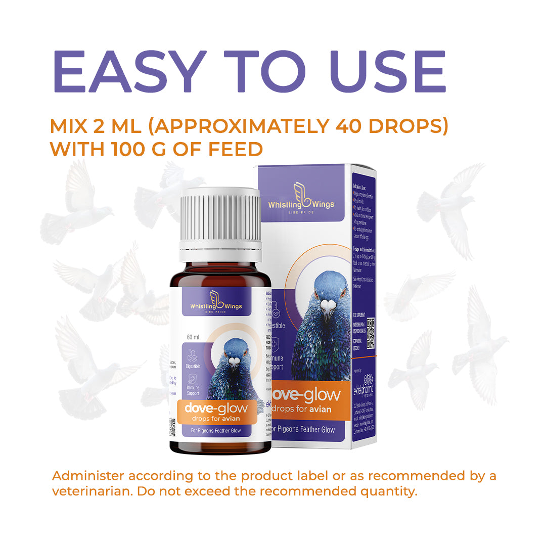 Dove-glow-easy-to-use