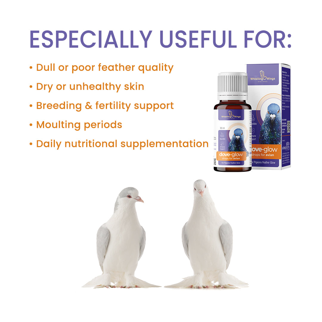 Dove-glow-for-unhealthy-skin-feather