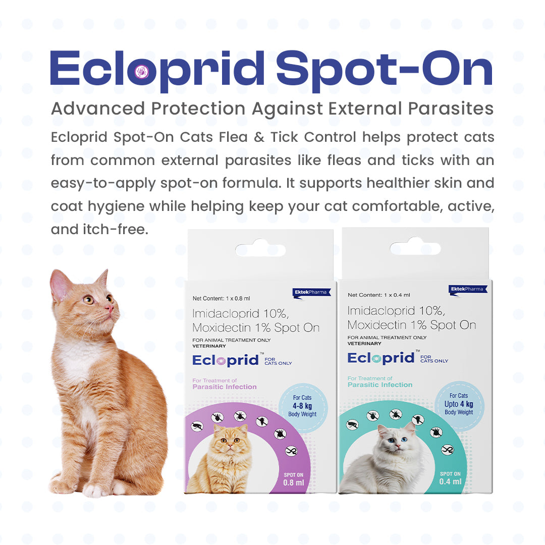 Advanced protection - Ecloprid Spot-On for Cats