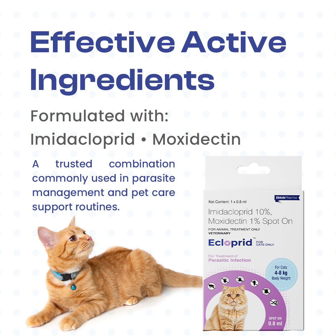 ingredients of Ecloprid Spot-On for Cats