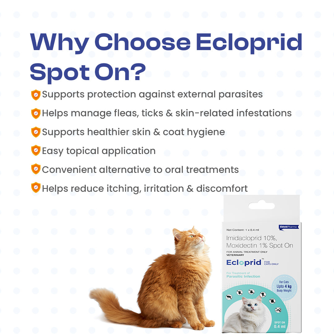 Why choose Ecloprid Spot-On for Cats