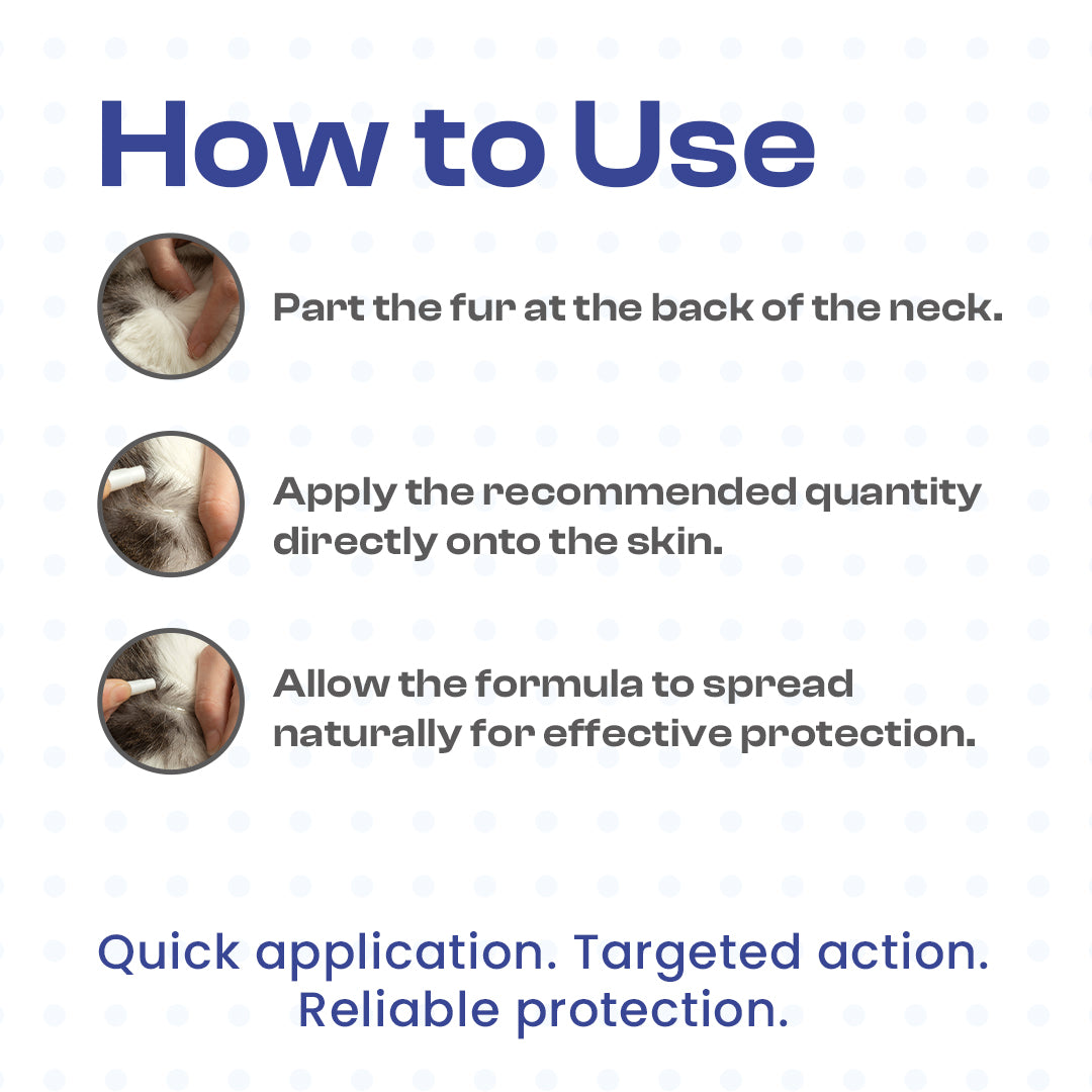 How to use Ecloprid Spot-On for Cats