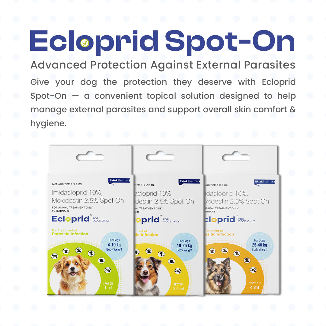 Ecloprid Spot-on for Dogs details