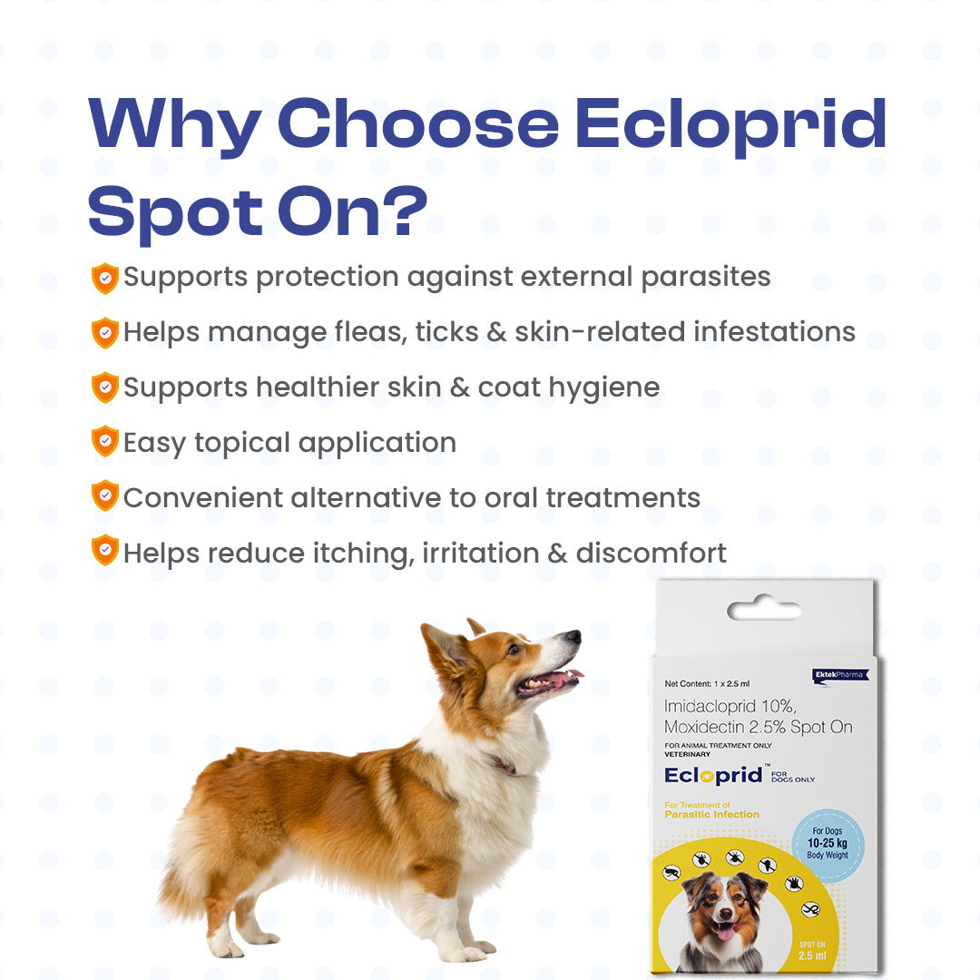 why choose Ecloprid Spot-on for Dogs