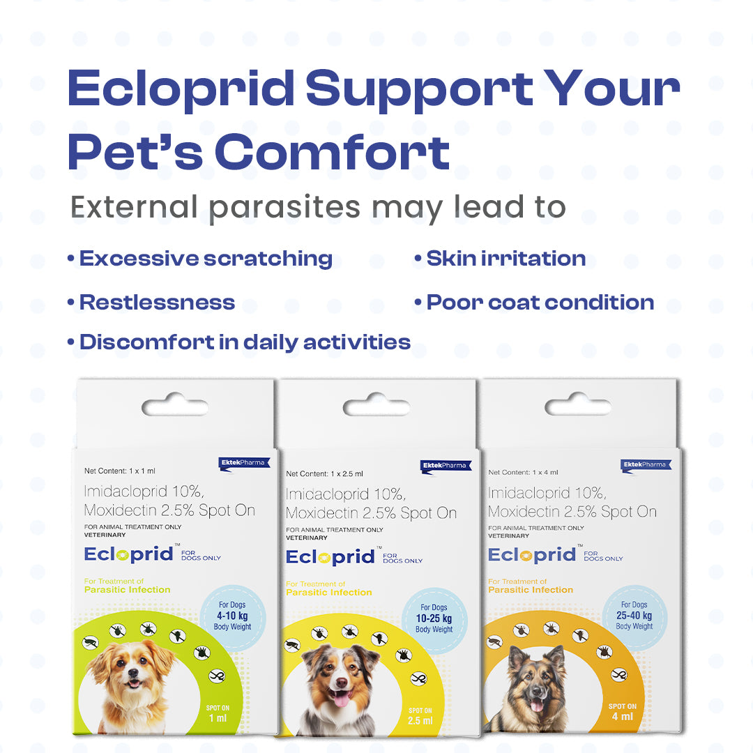 problems prevents from Ecloprid Spot-on for Dogs