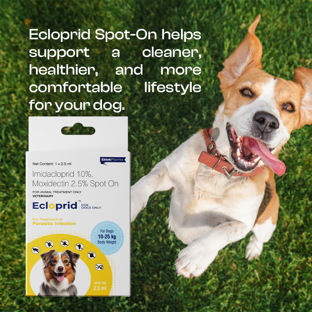 Ecloprid Spot-on for Dogs | Flea & Tick Control