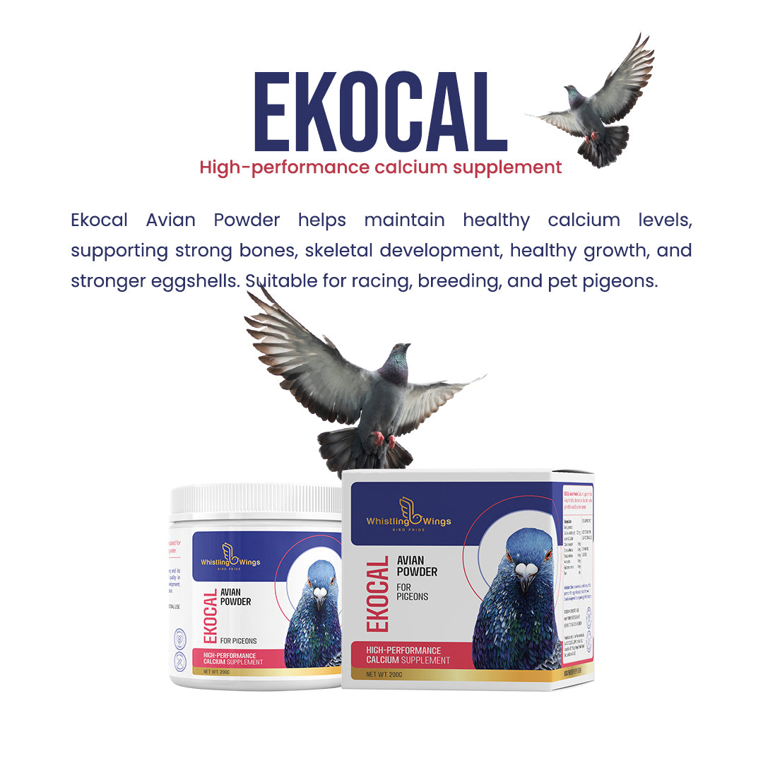 Ekocal Avian Powder 200g – Calcium Supplement for Pigeons