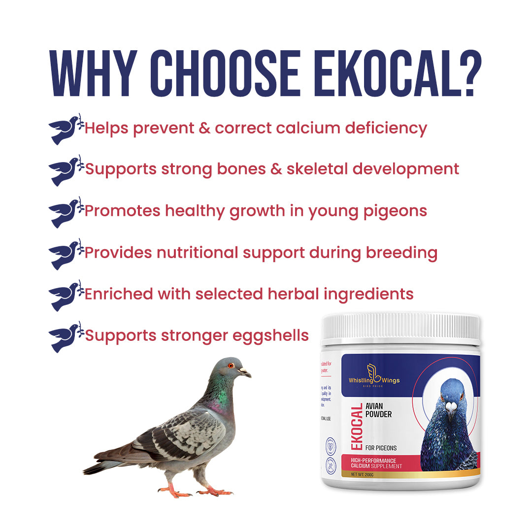 Ekocal Avian Powder 200g – Calcium Supplement for Pigeons