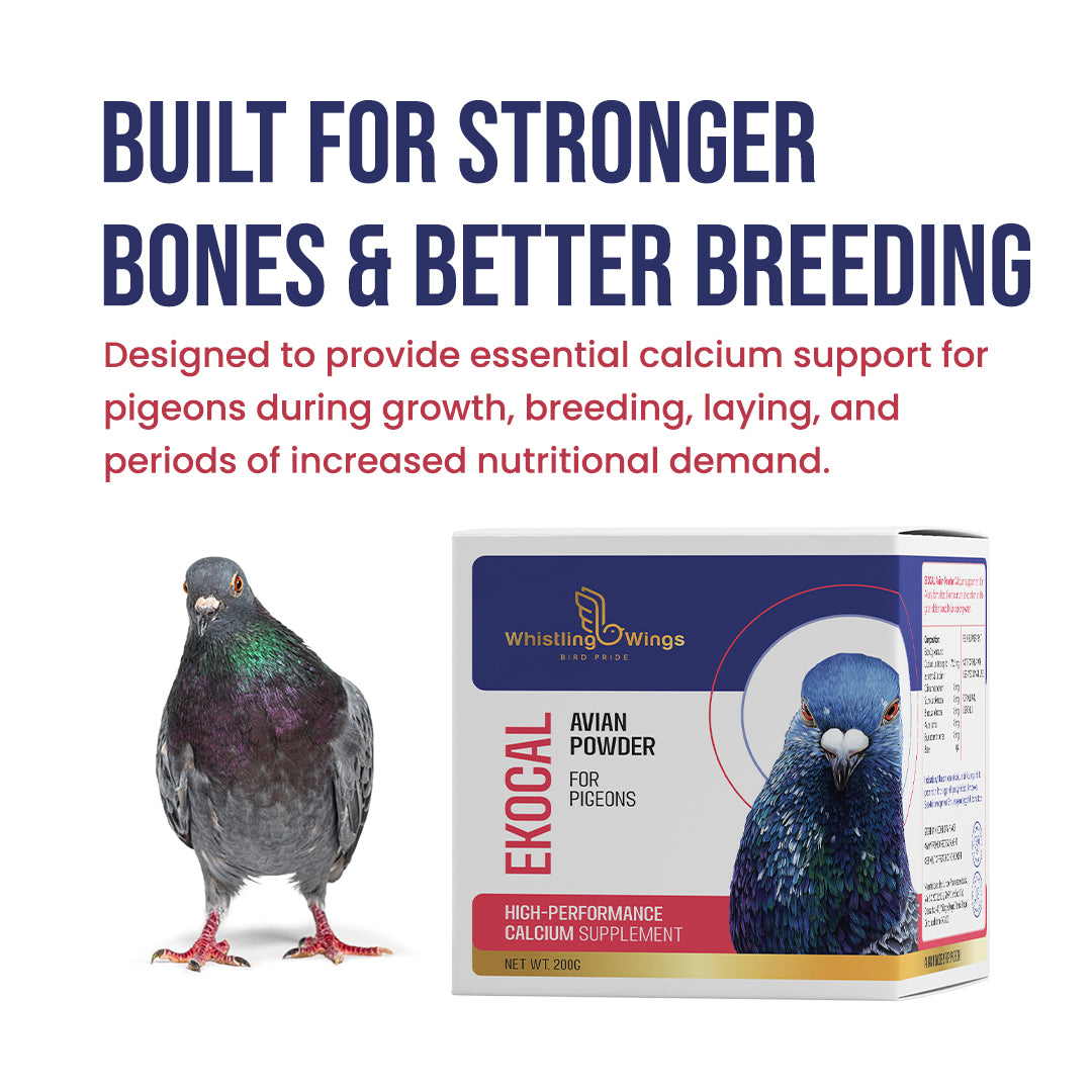 Ekocal Avian Powder 200g – Calcium Supplement for Pigeons