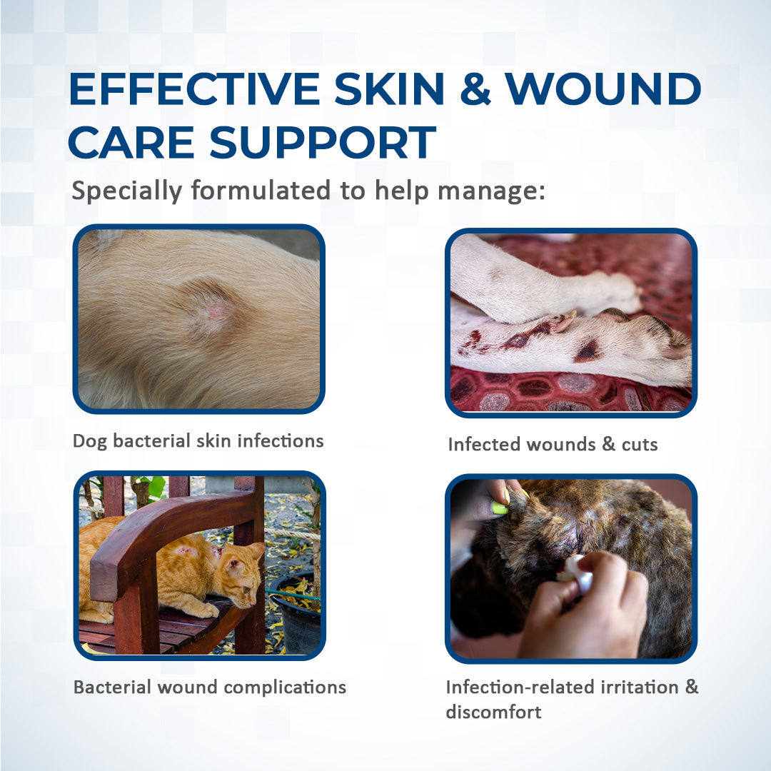 effective area care support with enropet tablets