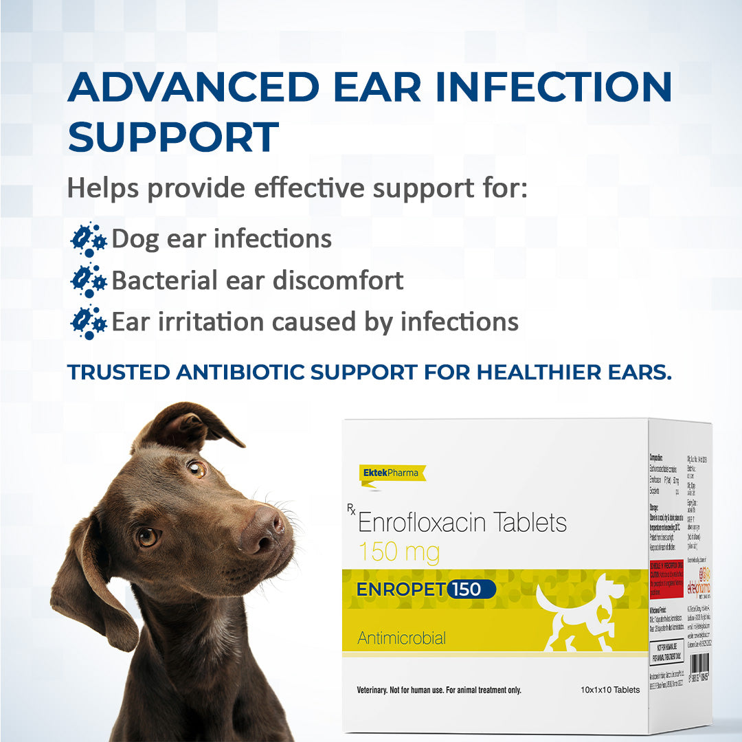 enropet tablets to support ear infections