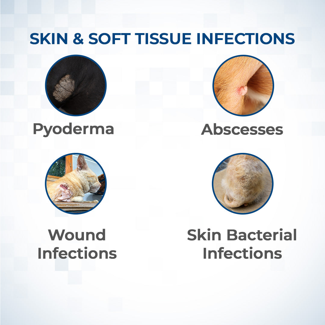 benefits of taking enropet tablets