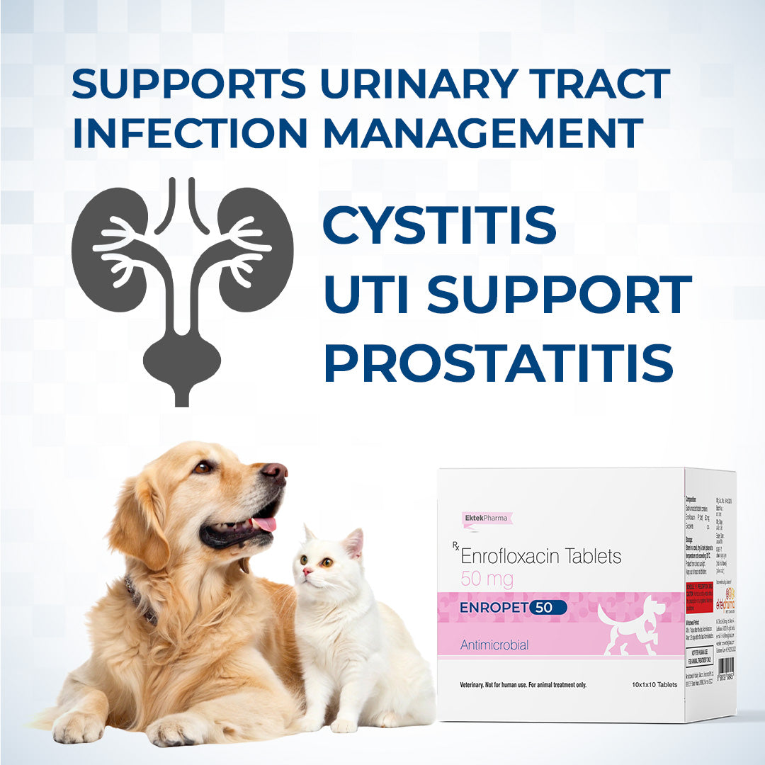 enropet tablets support urinary tract infection 