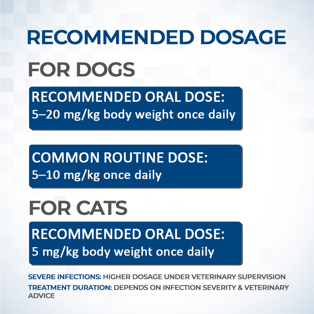 Enropet Tablets for Dogs & Cats | Infection Support | 2 Strips