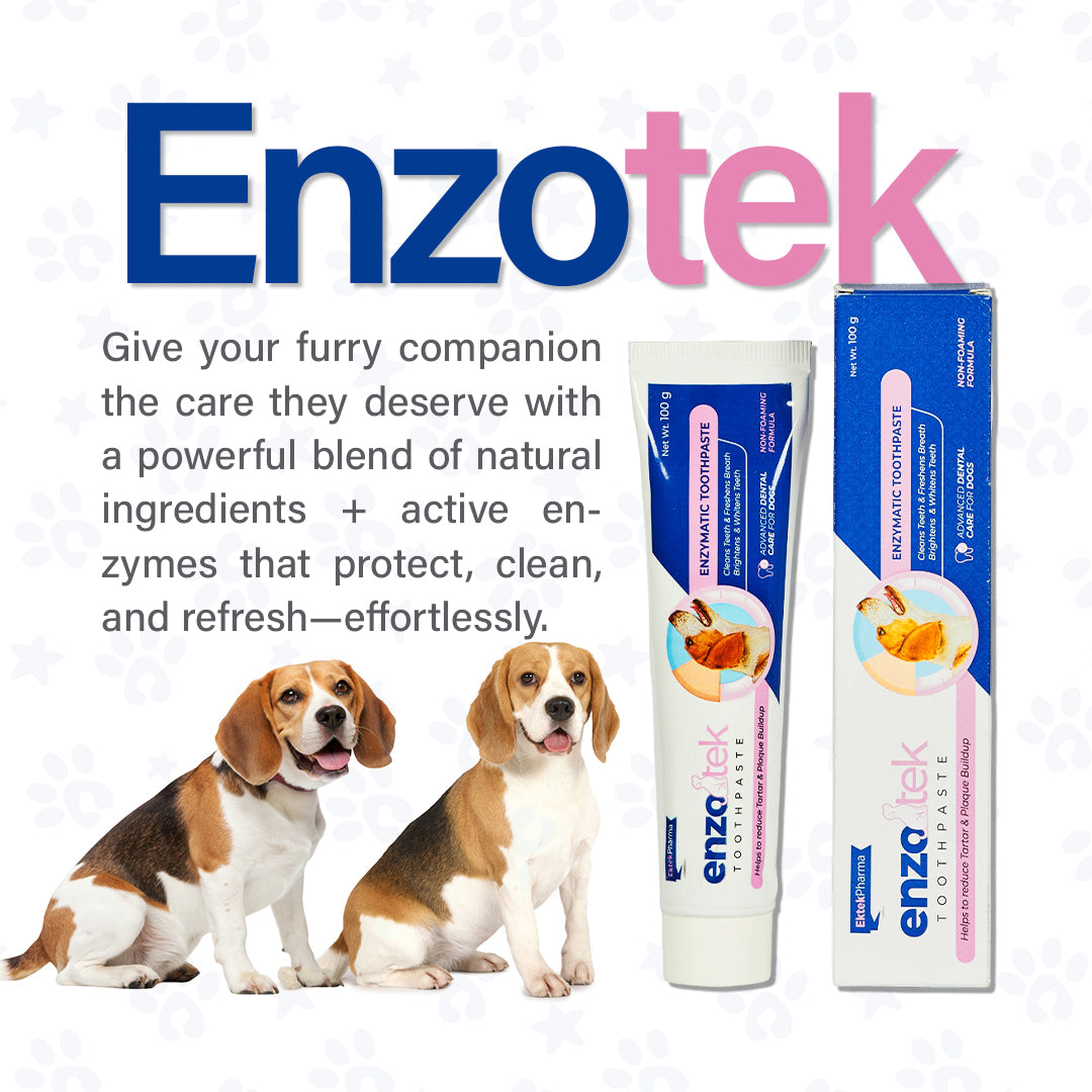 Enzotek dog toothpaste description