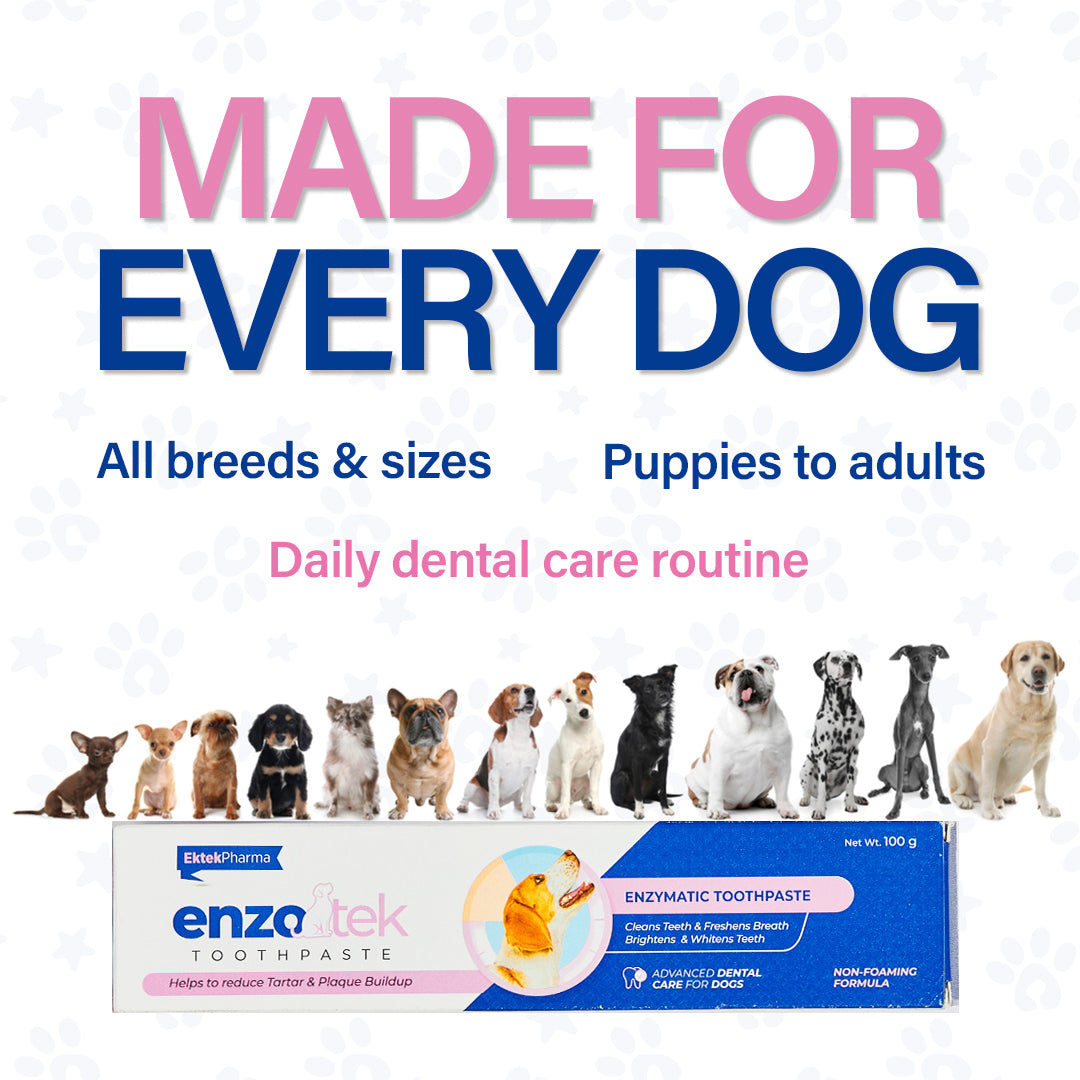 Enzotek dog toothpaste for all dog breed