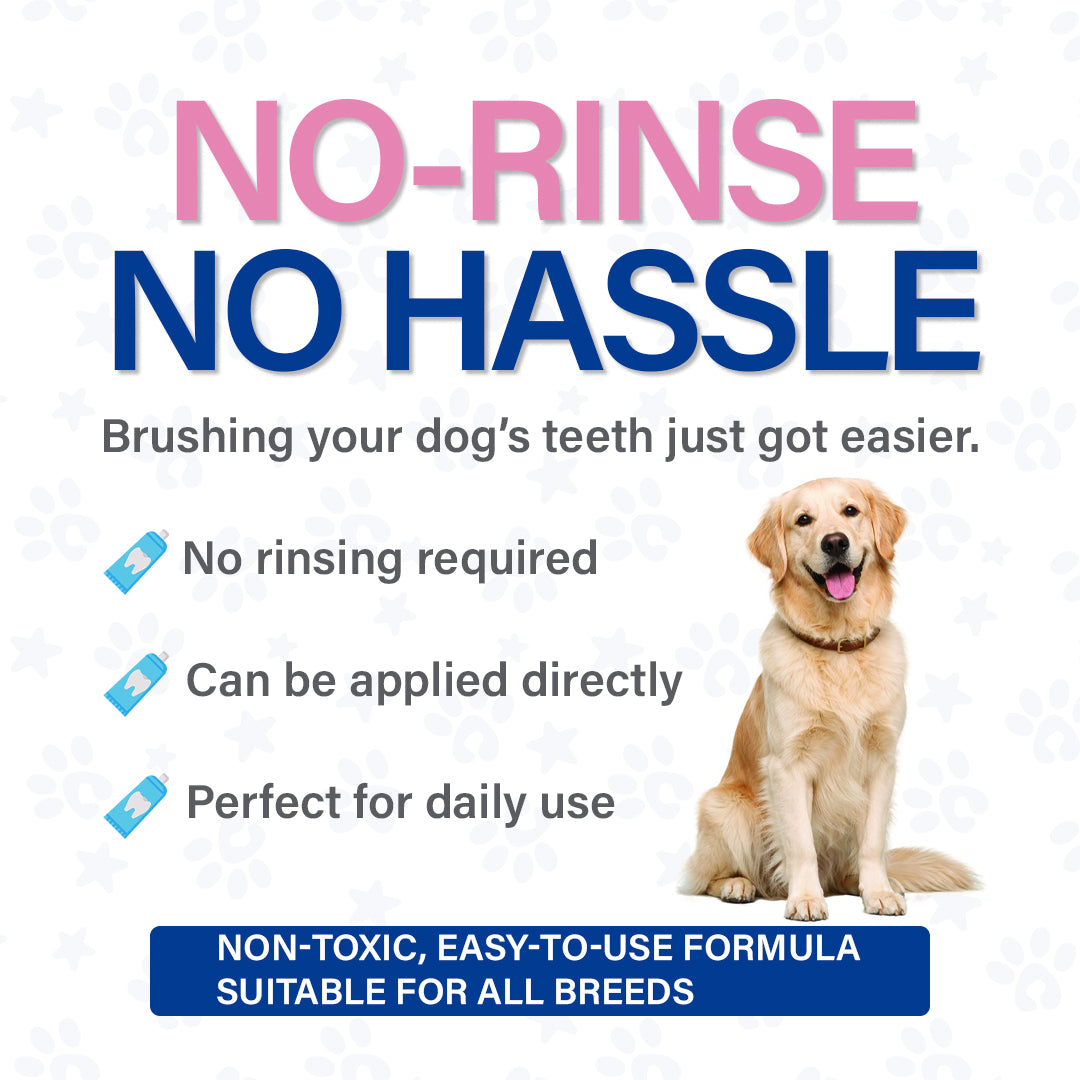 Enzotek dog toothpaste no rinse