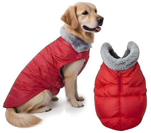 Winter Jacket for Dogs -with Cozy Fur Collar (Color May Vary) Red