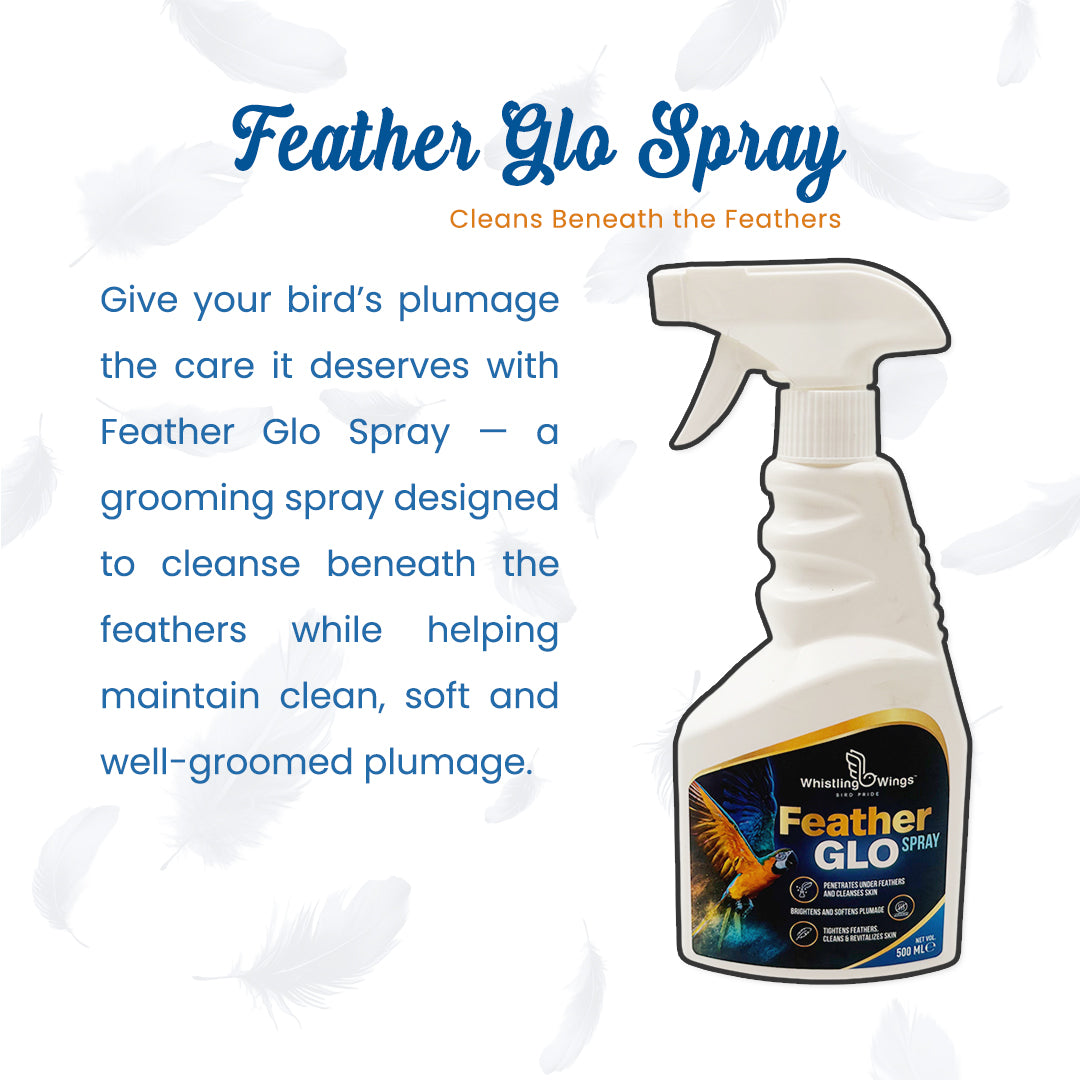 Bird Feather Glo Spray 500 ml