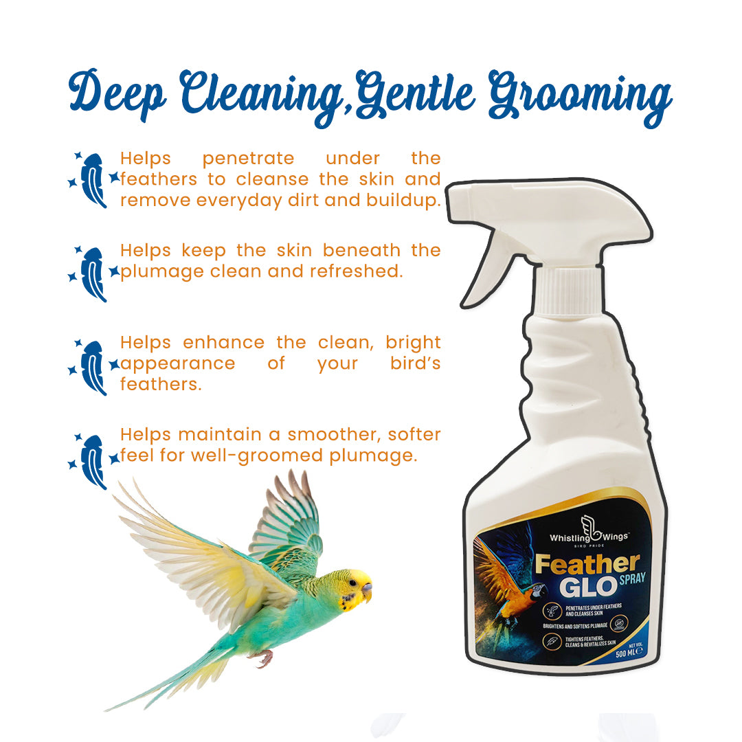 Bird Feather Glo Spray 500 ml