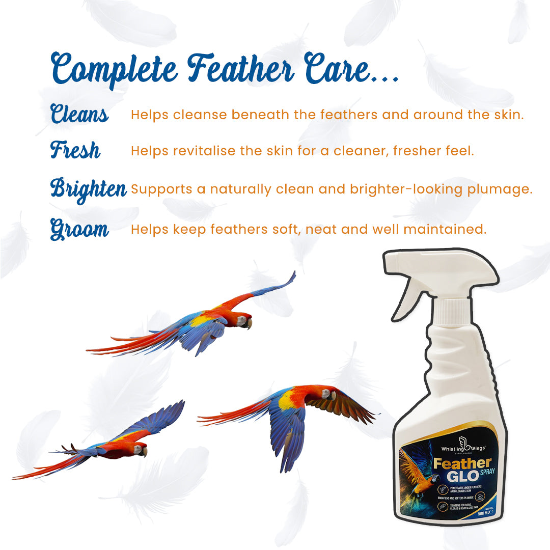 Bird Feather Glo Spray 500 ml