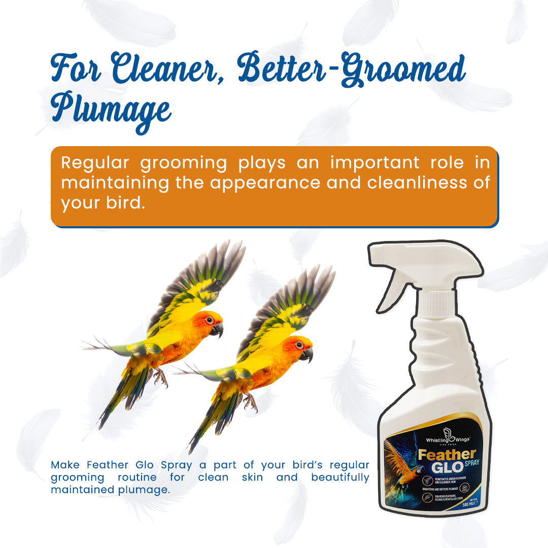 Bird Feather Glo Spray 500 ml