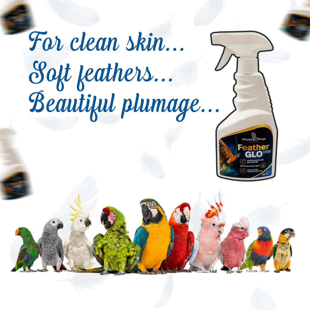 Bird Feather Glo Spray 500 ml