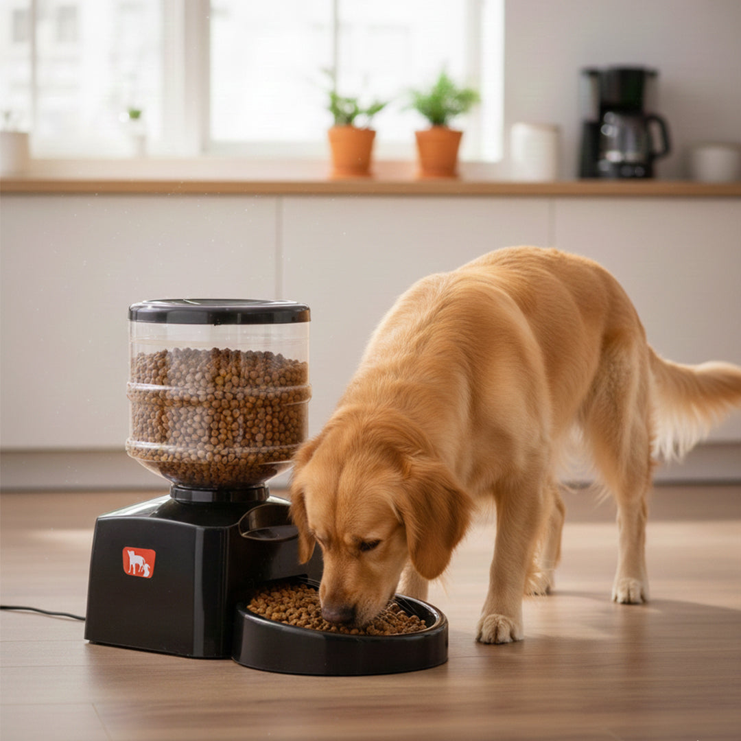 Automatic Pet Feeder 5.5L with LCD Display for Dogs & Cats | Smart Feeding Machine