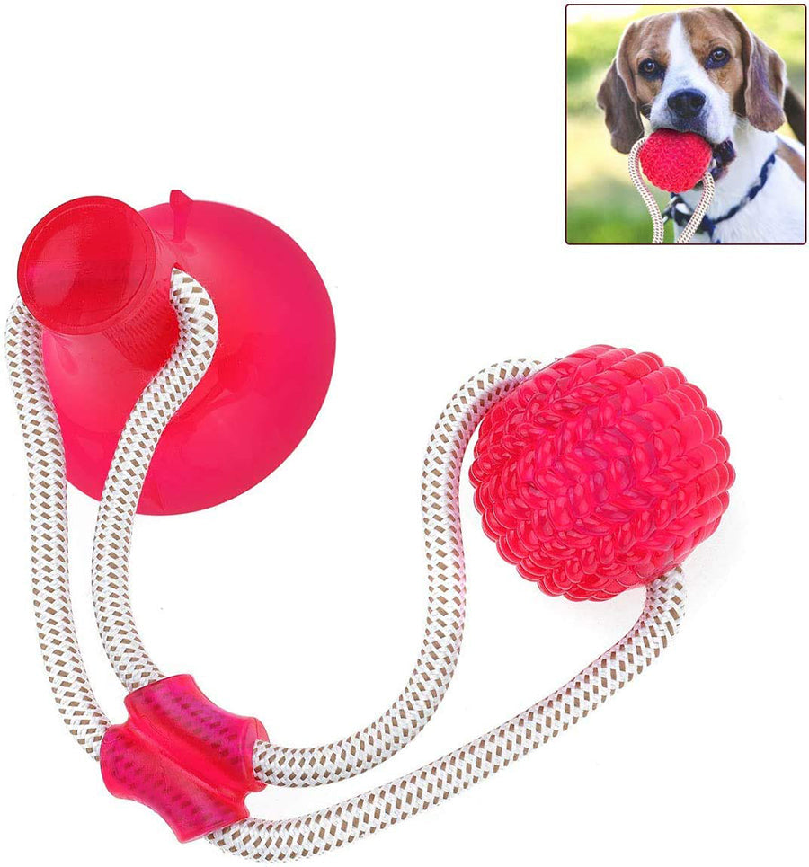 All4pets Playing product for Dog (Fixed rubber ball Style)Colour May Vary