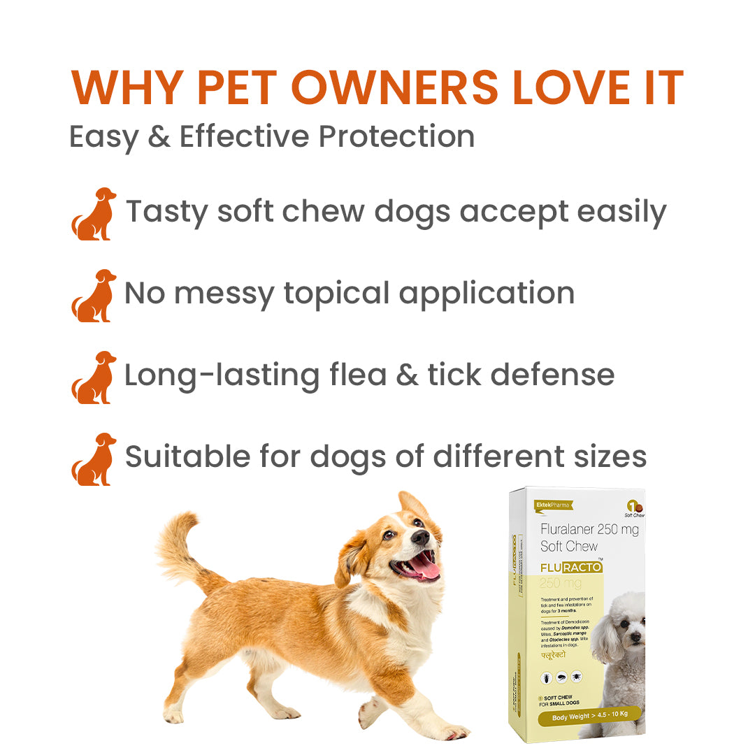 why pet owners prefer chewable tablets for tick control