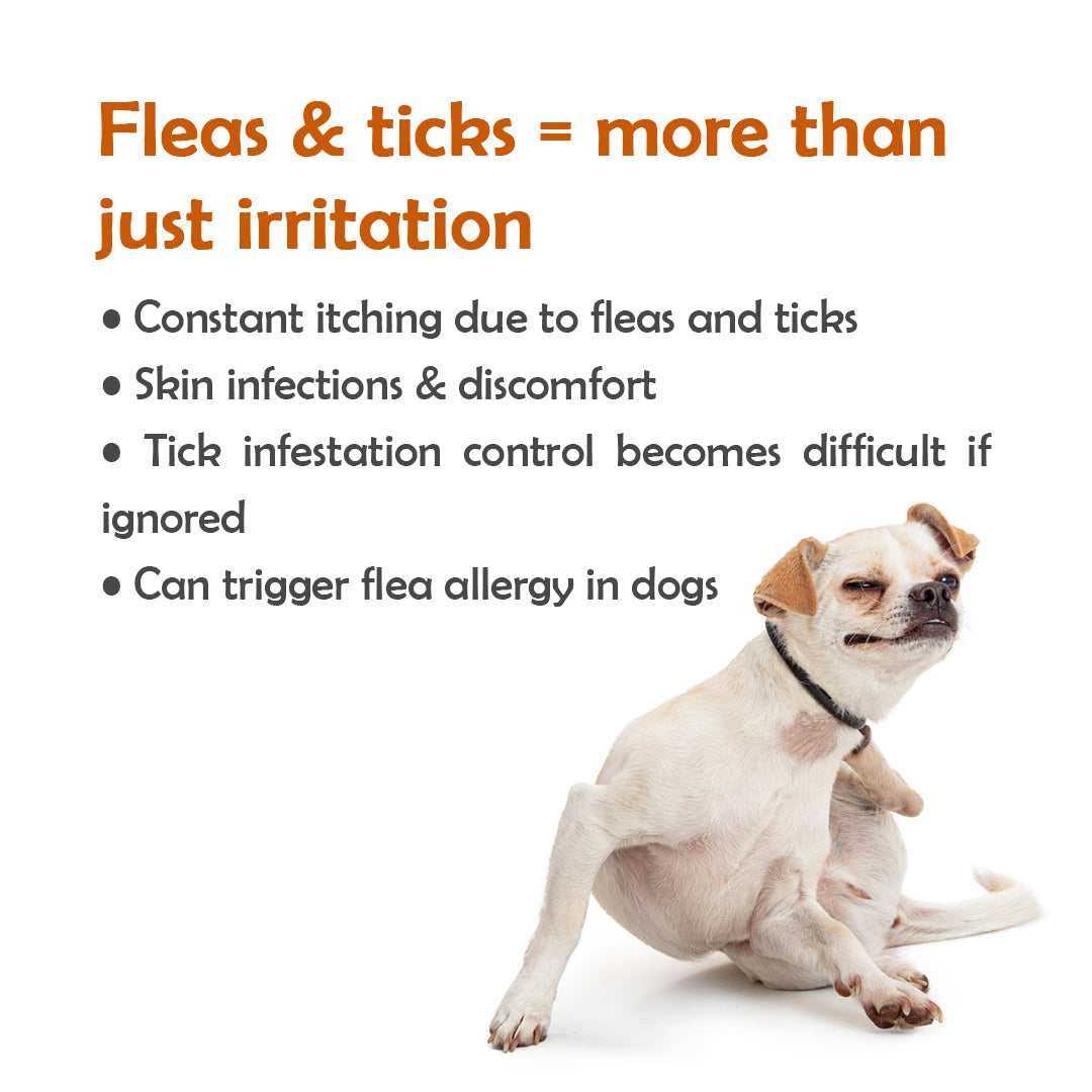 Fluracto Spot-On for Dogs | Fluralaner-Based Flea & Tick Control