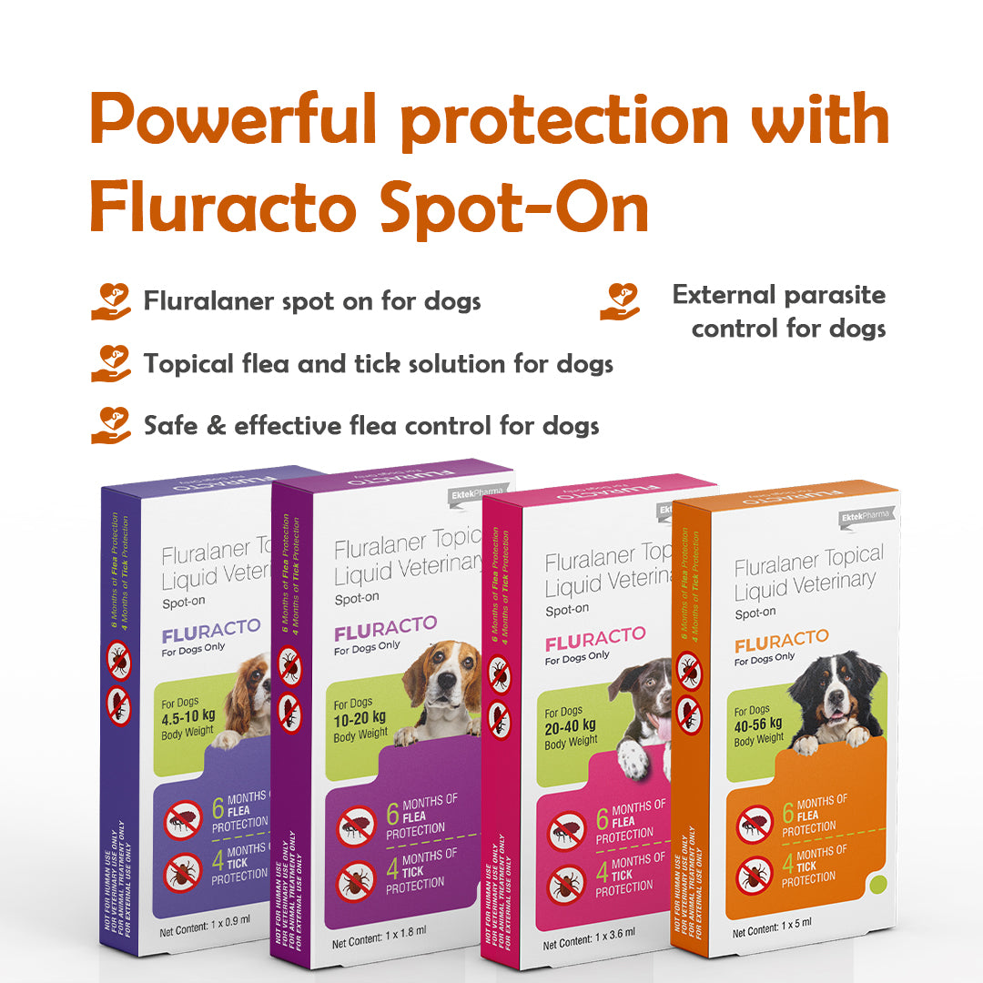 Fluracto Spot-On for Dogs | Fluralaner-Based Flea & Tick Control