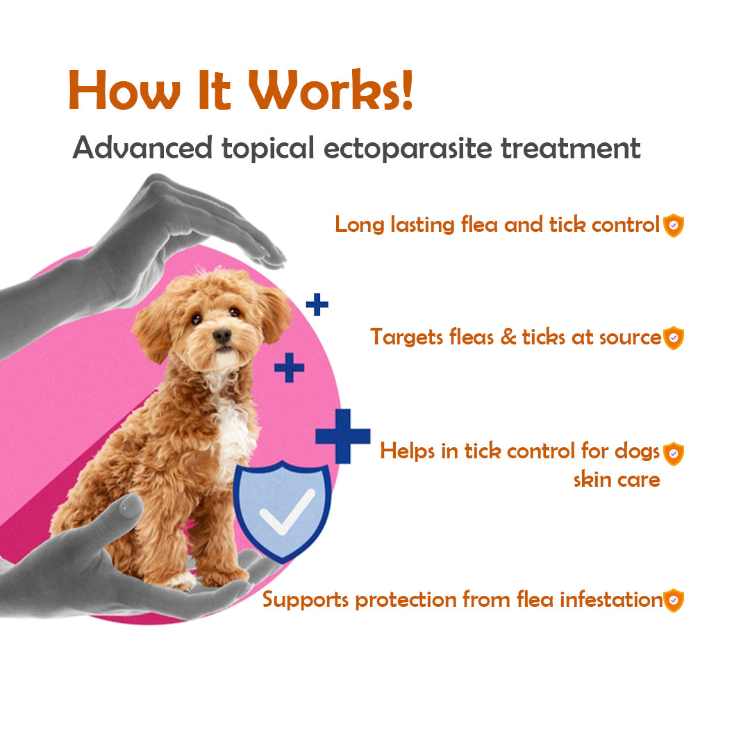 Fluracto Spot-On for Dogs | Fluralaner-Based Flea & Tick Control
