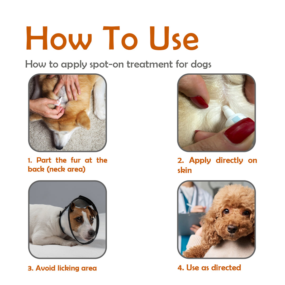 Fluracto Spot-On for Dogs | Fluralaner-Based Flea & Tick Control
