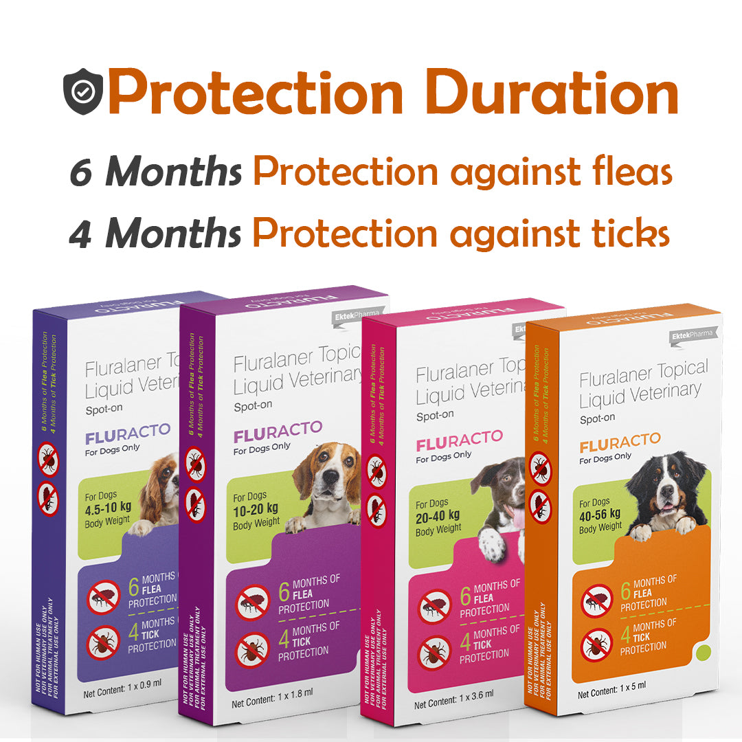 Fluracto Spot-On for Dogs | Fluralaner-Based Flea & Tick Control