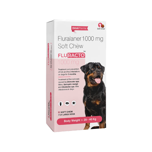 Fluracto Soft Chew 1000 mg for large dogs 20–40 kg effective flea and tick medicine