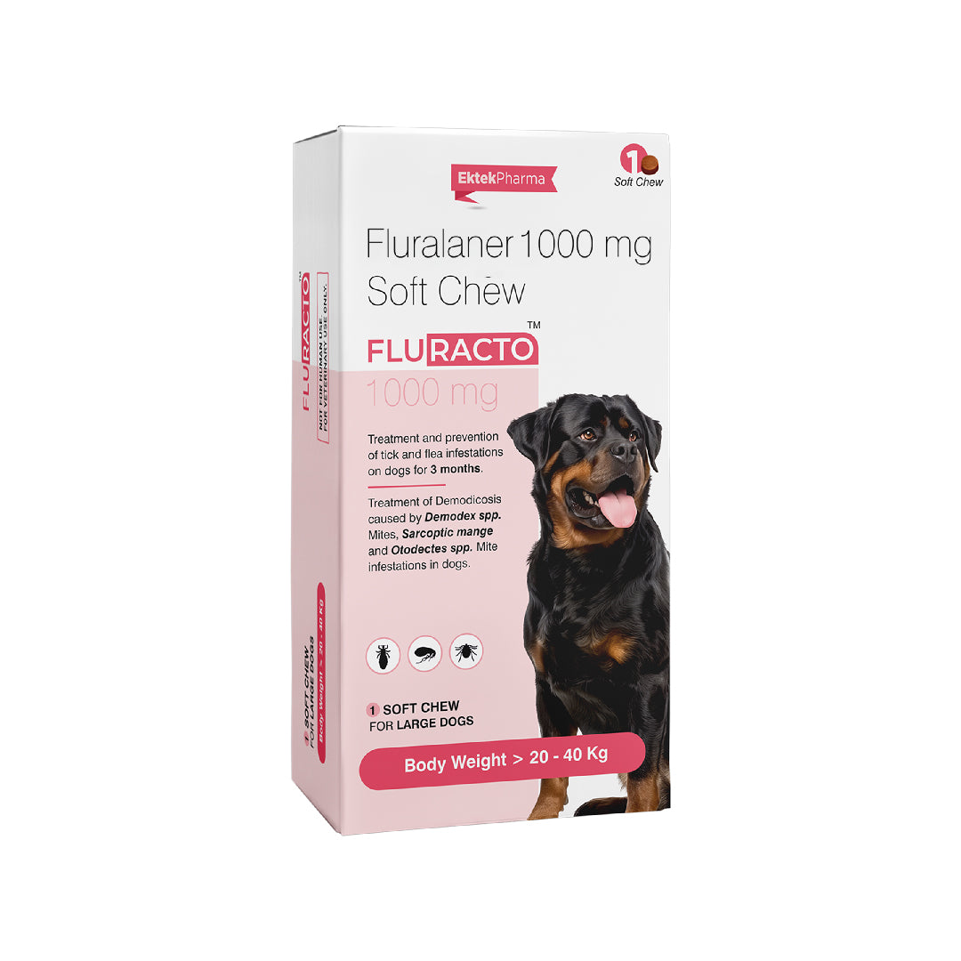 Fluracto Soft Chew 1000 mg for large dogs 20–40 kg effective flea and tick medicine