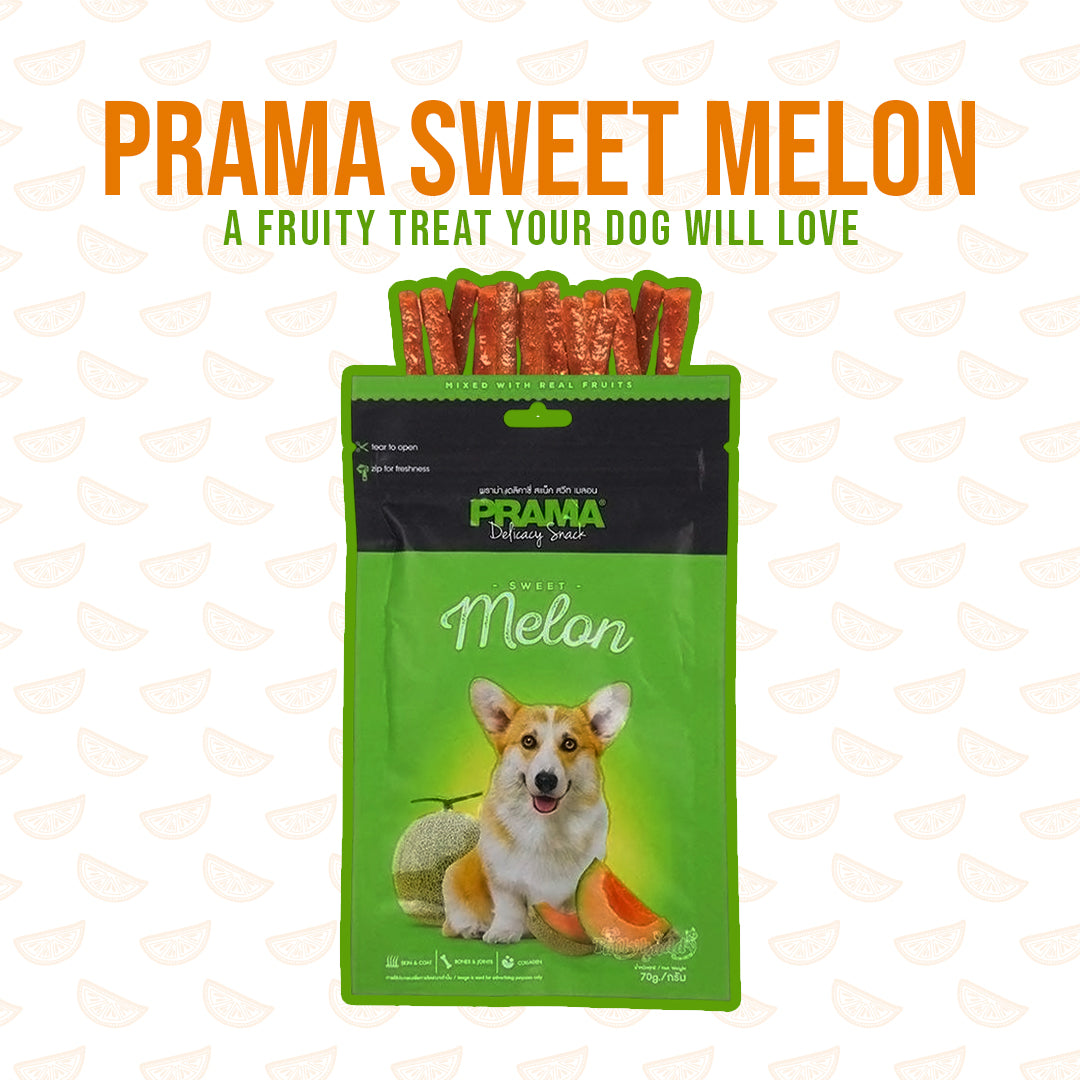 Fruity melon flavoured soft dog treats by Prama