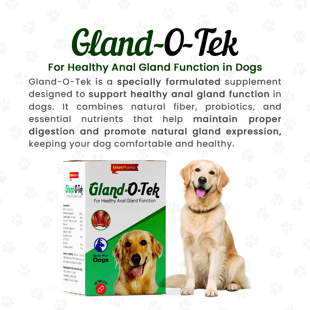 Gland-O-Tek Anal Gland Support Tablets for Dogs description
