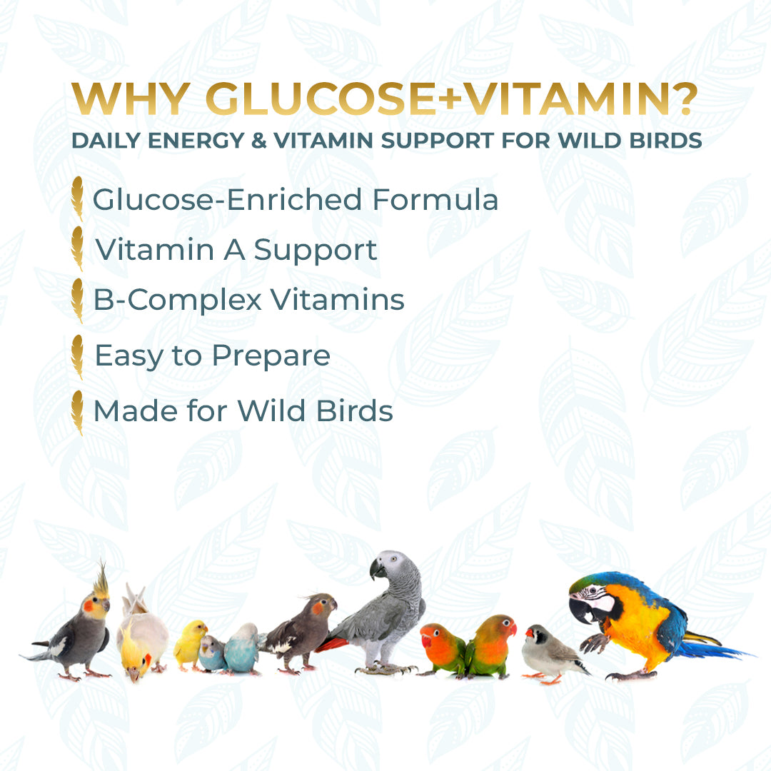 benefits of Glucose + Vitamins Powder