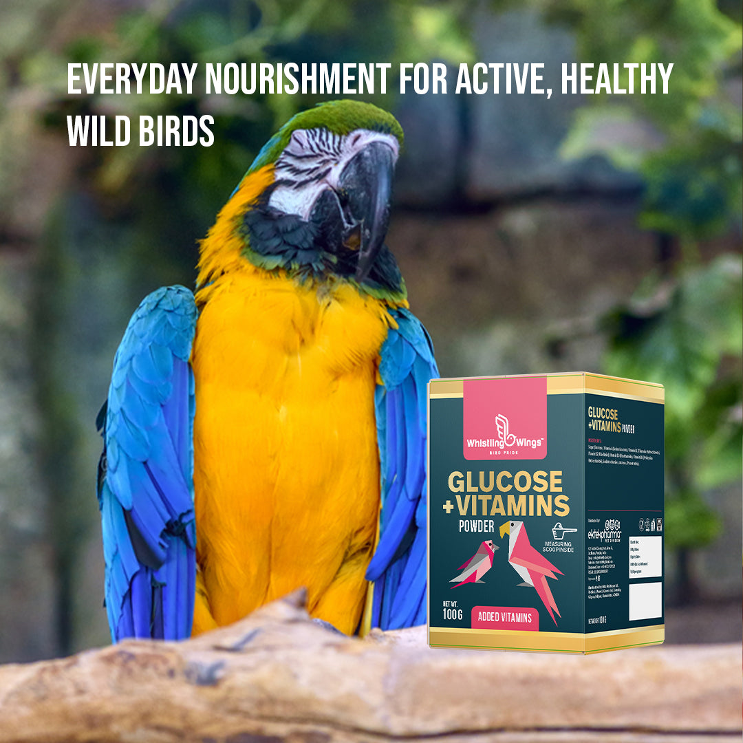 Glucose + Vitamins Powder 100g – Nutritional Supplement for Birds