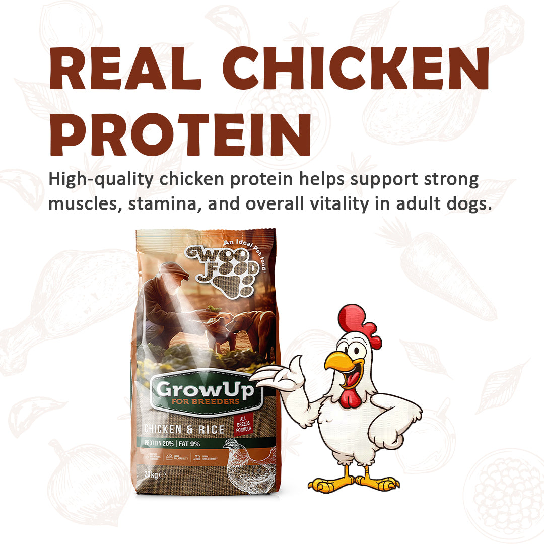 Grow Up Breeders Adult Dog Food 20kg | Chicken & Rice High Protein Dog Food