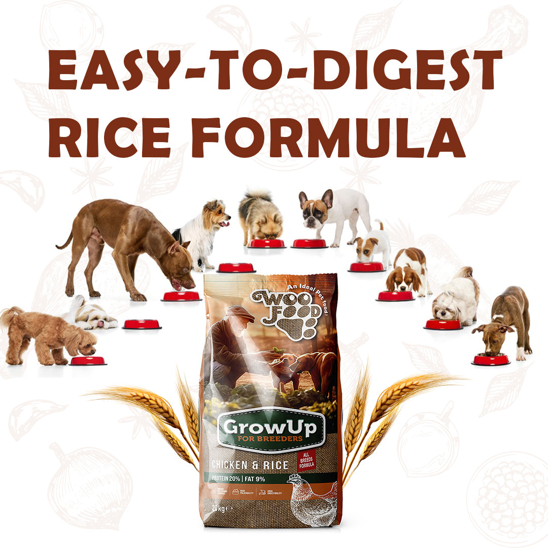Grow Up Breeders Adult Dog Food 20kg | Chicken & Rice High Protein Dog Food
